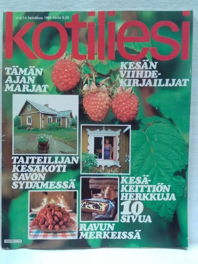 Kotiliesi N:o 14 heinäkuu 1981