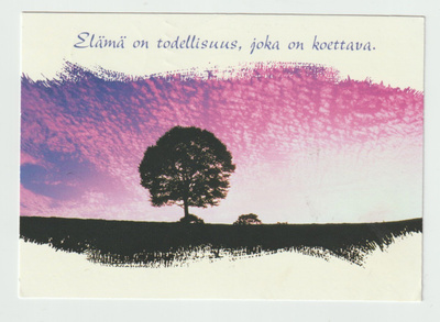 Vloo-Orion Pressa : Elämä on todellisuus....... (R)