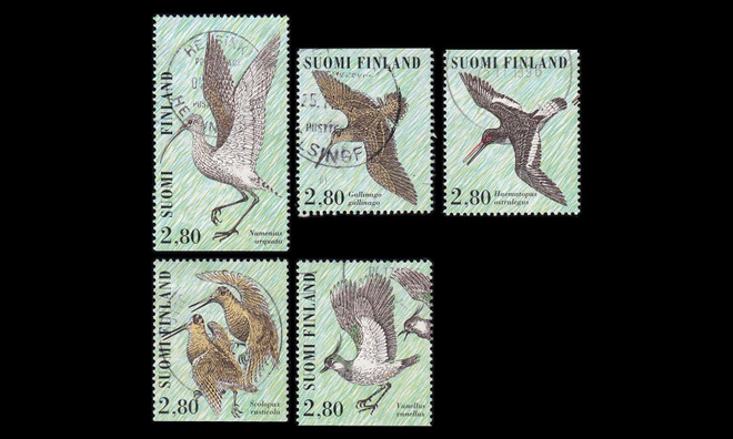 1347-51 o Kahlaajalintuja (1996)
