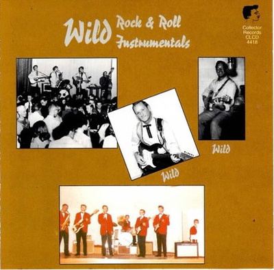 Various – Wild Rock & Roll Instrumentals Cd Hol. 