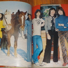 Kirja - Supersonic Annual 1977 pop rock - pikkukuva 3