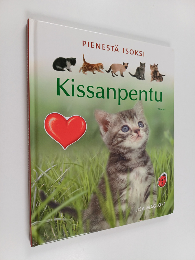Lisa Magloff : Pienestä isoksi : kissanpentu