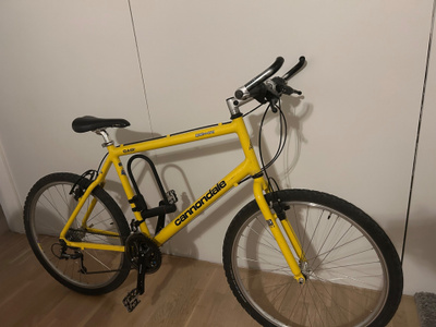 Cannondale M800 ”Beast of the East”.