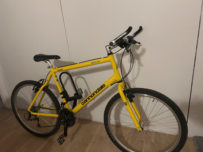 Cannondale M800 ”Beast of the East”.