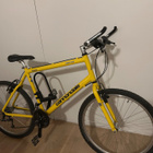 Cannondale M800 ”Beast of the East”. - pikkukuva 1