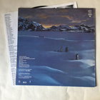 BEACH BOYS Keepin The Summer Alive LP - pikkukuva 2