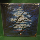 MERCYFUL FATE - IN THE SHADOWS M-/M- SAKSA 2016 LP - pikkukuva 2