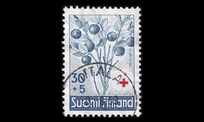 501 o PR mustikka loisto Iittala 10.8.59 (1958)