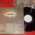 PIIRPAUKE - LP 1975 (karhea kansi) EX- - pikkukuva 2
