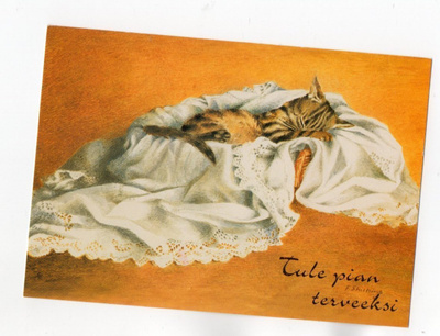 °°TULE PIAN TERVEEKSI°° -KORTTI