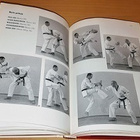 Timo Klemola : Zen-karate - pikkukuva 2
