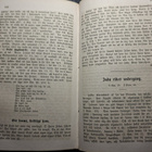 BIBLISTA HISTORIEN ruotsalainen KIRJA -1875- raamattu - pikkukuva 4