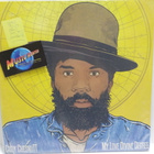 CODY CHESNUTT - MY LOVE DIVINE DEGREE - UUSI 2 LP - pikkukuva 1