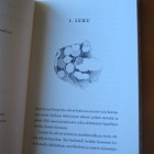 Huityttö ja Pampoika - Anna-Liisa Haakana - pikkukuva 4