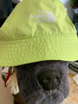 THE NORTH FACE BUCKET HAT