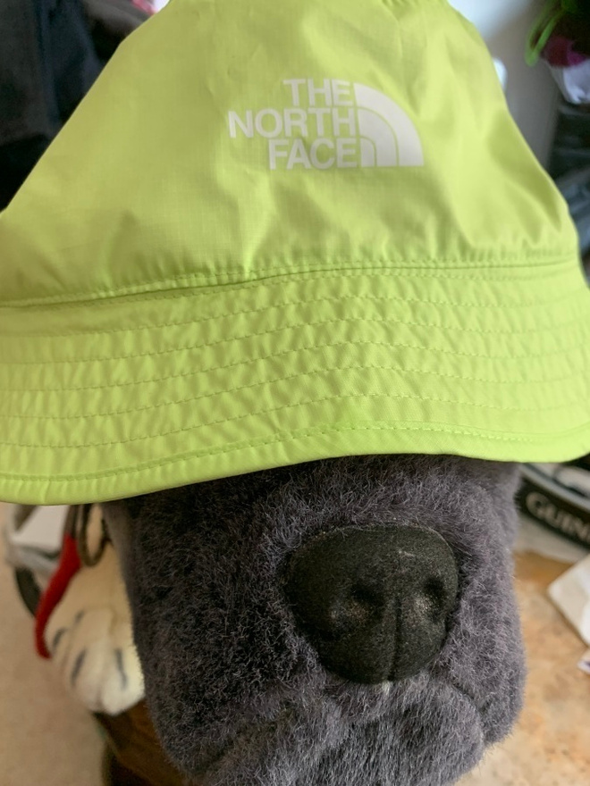 THE NORTH FACE BUCKET HAT