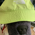 THE NORTH FACE BUCKET HAT - pikkukuva 1