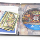 Dragon's Crown Pro - Battle Hardened Edition - pikkukuva 3