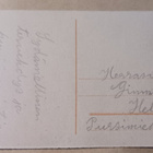 Pupu vahtii munakoria, lintu tarkkailee, p. 1933 - pikkukuva 2