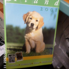 Åland 2001 Postimerkki kansio , vuoden 2001 Uusi - pikkukuva 1