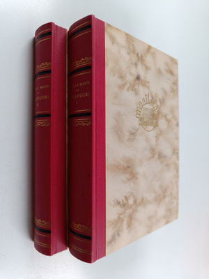 Thomas Mann : Taikavuori 1-2