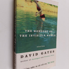 David Gates : The Wonders of the Invisible World - pikkukuva 1