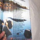 Niilo Hakala : Niilon tarina ( 1 p. 2014 ) + SIGNEERAUS - pikkukuva 2