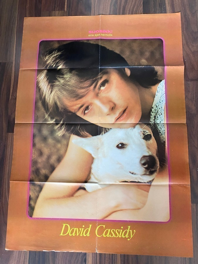 The Partridge Family David Cassidy juliste
