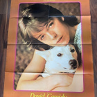 The Partridge Family David Cassidy juliste + Elvis the movie - pikkukuva 1