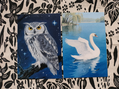 ~Eläin kortti~ 2kpl