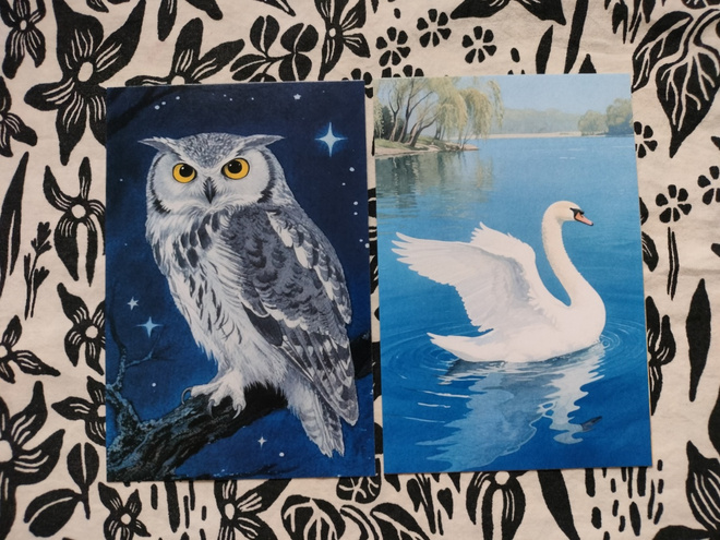 ~Eläin kortti~ 2kpl