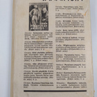 Agatha Christie : Seitsemän kellon salaisuus - pikkukuva 2