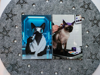 ~Kissa kortti~ 2kpl