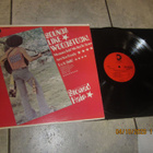 Stoned Hair – Sounds Like Woodstock! LP - pikkukuva 1