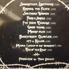 LYNYRD SKYNYRD - 1991 CD ( Sis.postikulut ) - pikkukuva 3