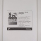 The Journal of Nietzsche studies - issue 34, Autumn 2007 - pikkukuva 2