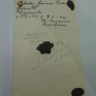SOTILAS, ATELIER ST.ROBERTSG. 10 - pikkukuva 2