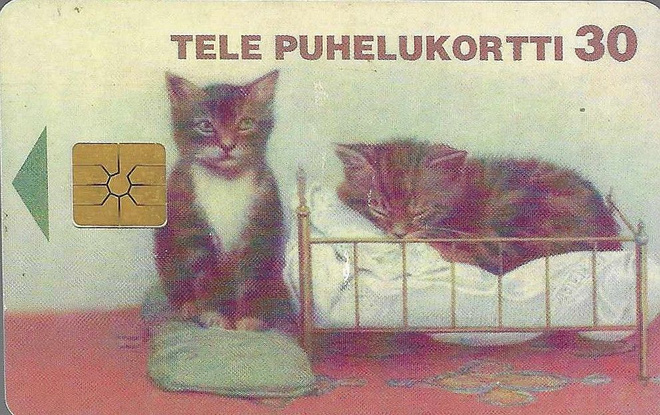D119 30 MK YSTÄVÄNPÄIVÄ -97 TELE PUHELUKORTTI
