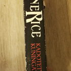 Kadotettujen kuningatar Anne Rice - pikkukuva 3