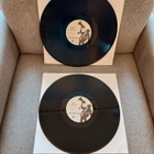 Bryan Adams – Waking Up The Neighbours LP (1991) - pikkukuva 3