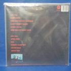 THE JESUS AND MARY CHAIN - DARKLANDS M-/M- EU 2013 LP - pikkukuva 2