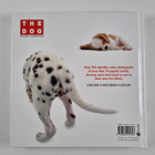 The Dog - Artlist Collection - pikkukuva 2