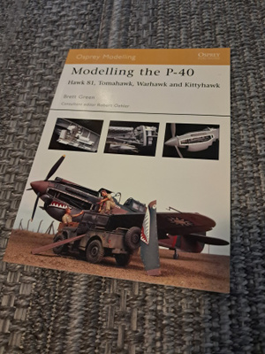 Osprey modelling P-40