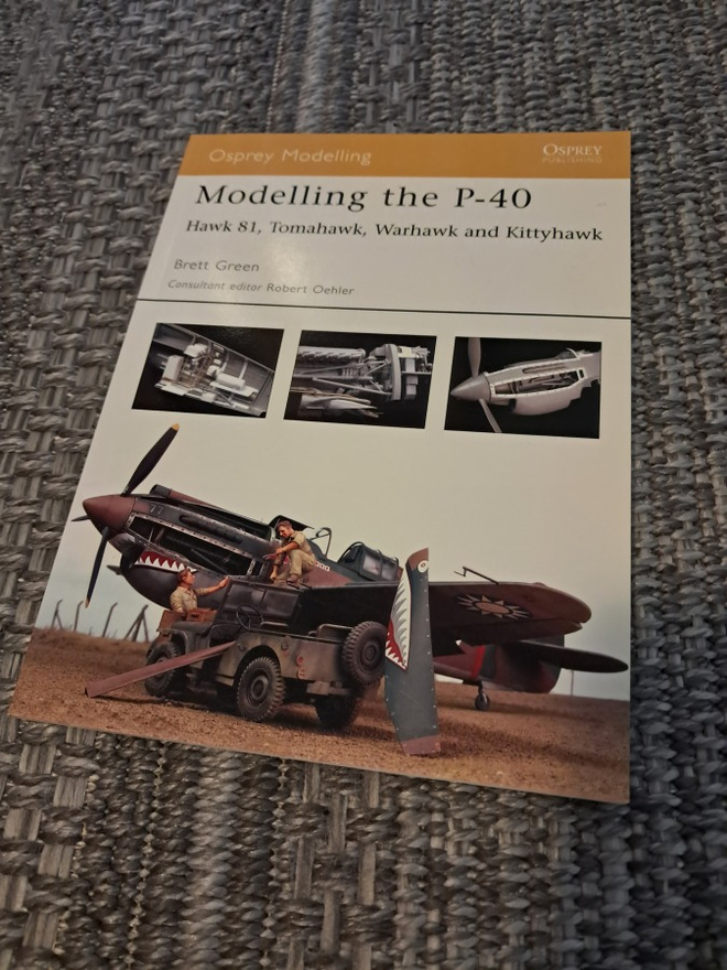 Osprey modelling P-40