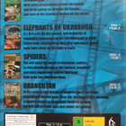 4 MOVIES - VALITSE YKSI - pikkukuva 4