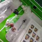 Subbuteo kentiä, joukkueita ja tarvikkeita - pikkukuva 1