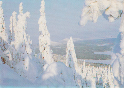 Lieksa: Ukko - Koli