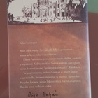 mirja bolgar - kaikki tuo jota ikäväksi kutsut - pikkukuva 3