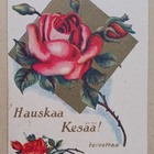 Ruusu, pikkuruusu ja Hauskaa kesää -toivotus, ei p. - pikkukuva 1