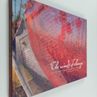 Berit Von Scheven : The winds of change - In the footstep... - pikkukuva 1